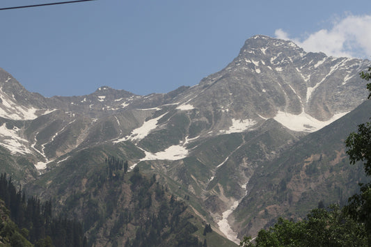 Who Introduced Saffron Cultivation in Kashmir?